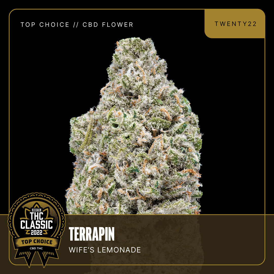 Wife's Lemonade CBD | Terrapin